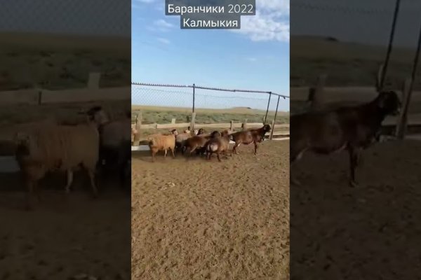 Кракен пользователь не найден