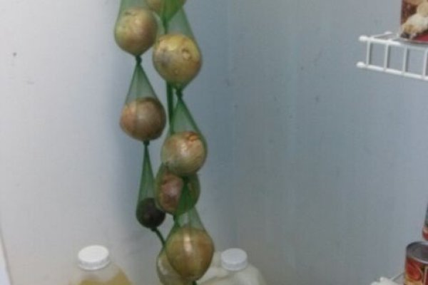 Кракен ссылка onion